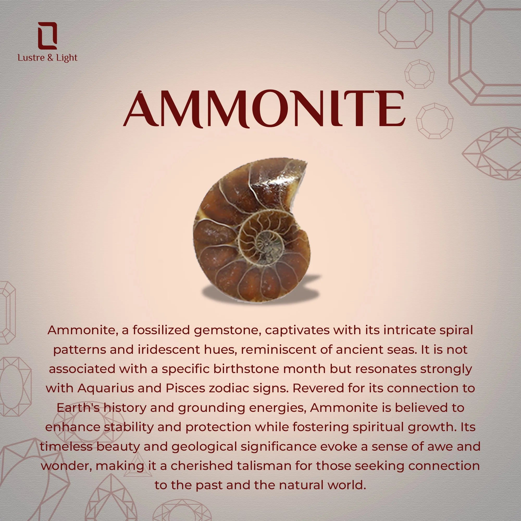 natural ammonite rough shape twister bracelet