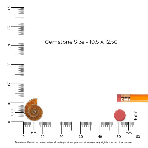 Natural Ammonite Rough Shape Slider Pendant Necklace