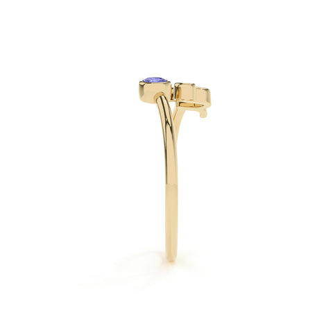 capricorn zodiac ring with natural tanzanite gold vermeil