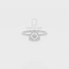 Moissanite Solitaire Halo Engagement Rings for Women